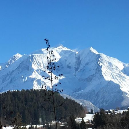 Les 4 Vallees Hotel Albertville Exterior foto