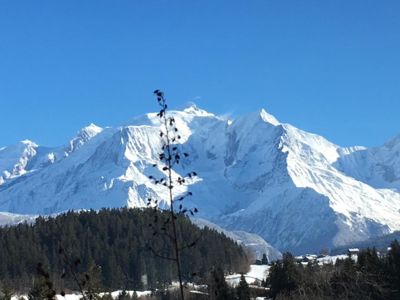 Les 4 Vallees Hotel Albertville Exterior foto